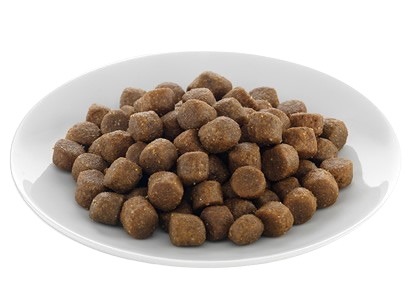 Dog Dry Food - Chinee Pet Food Co.,Ltd